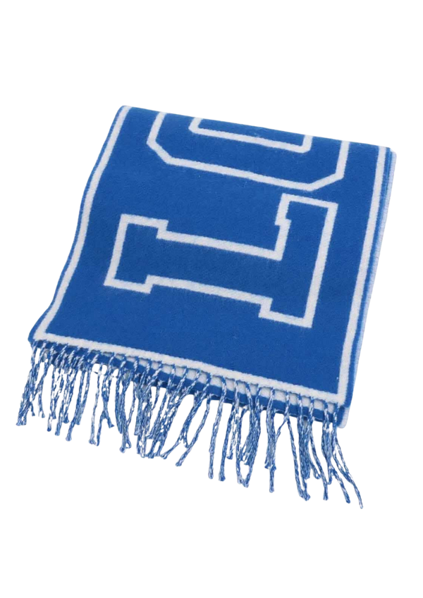 LOUIS VUITTON V Scarf Écharpe City Louis