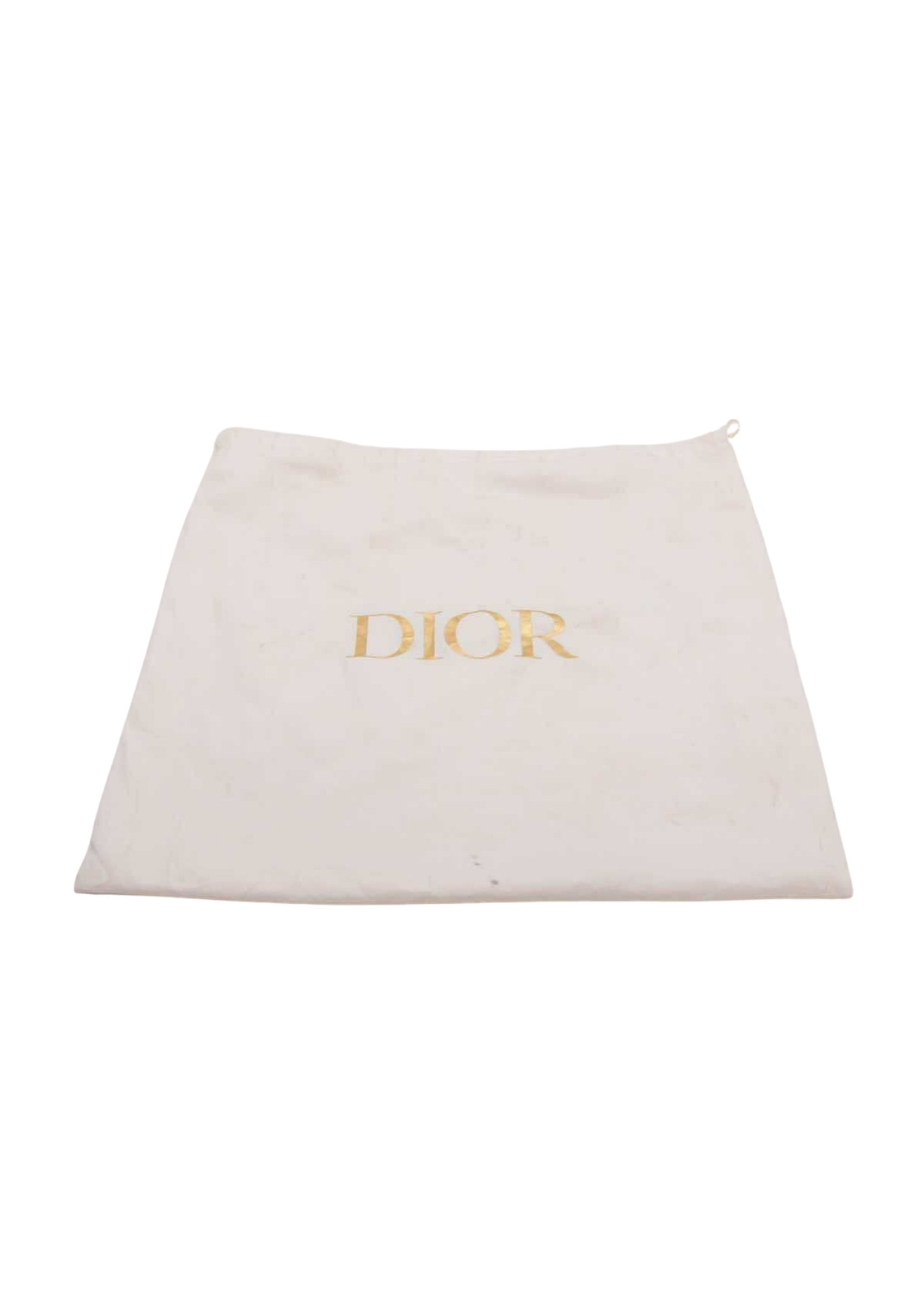 CHRISTIAN DIOR Oblique Book Tote