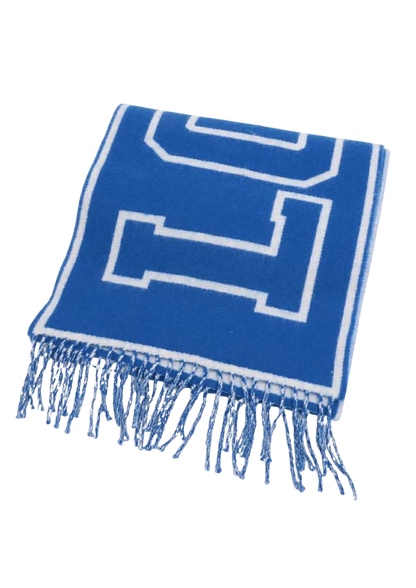 LOUIS VUITTON V Scarf Écharpe City Louis