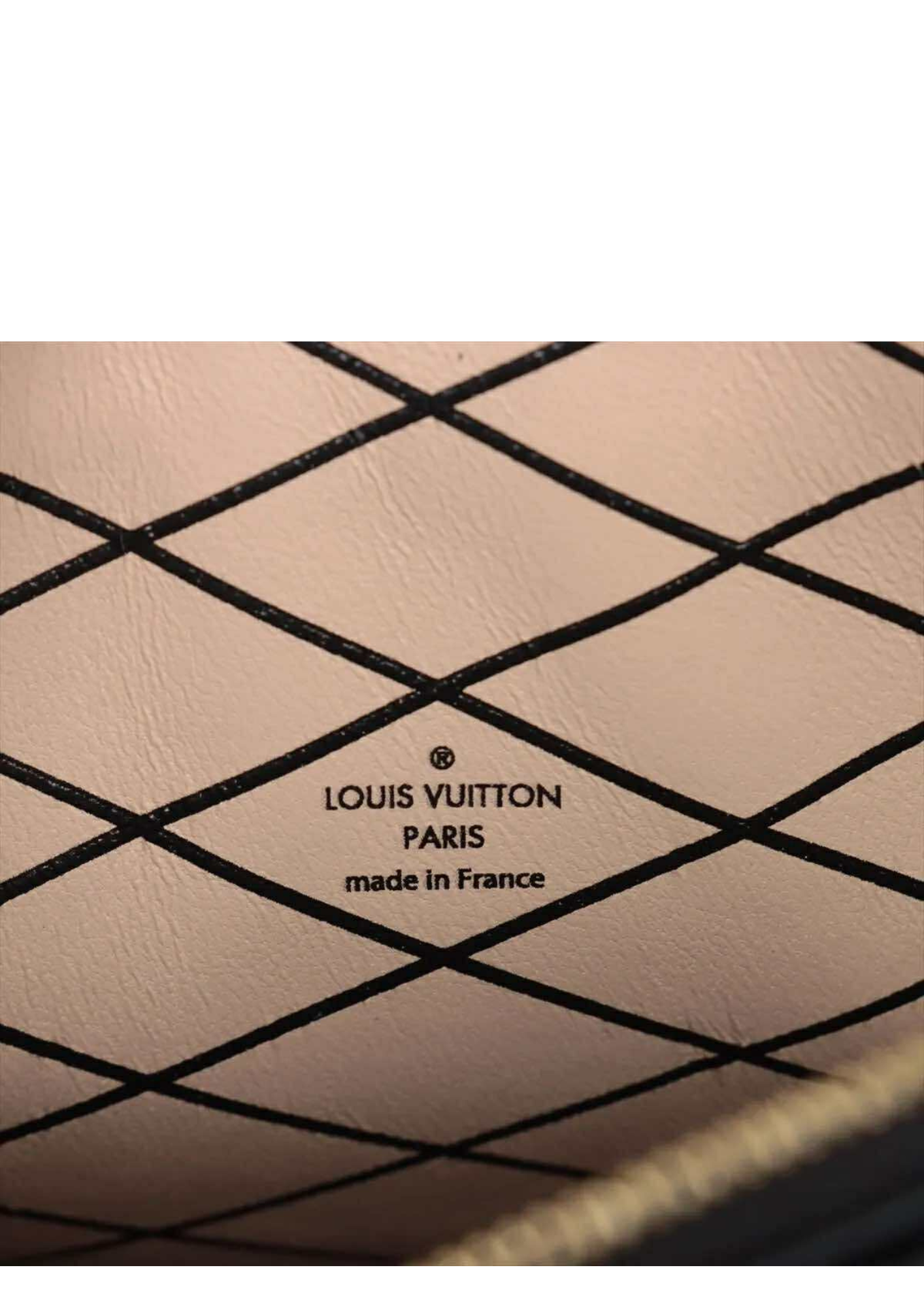 LOUIS VUITTON Monogram reverse Trunk Clutch