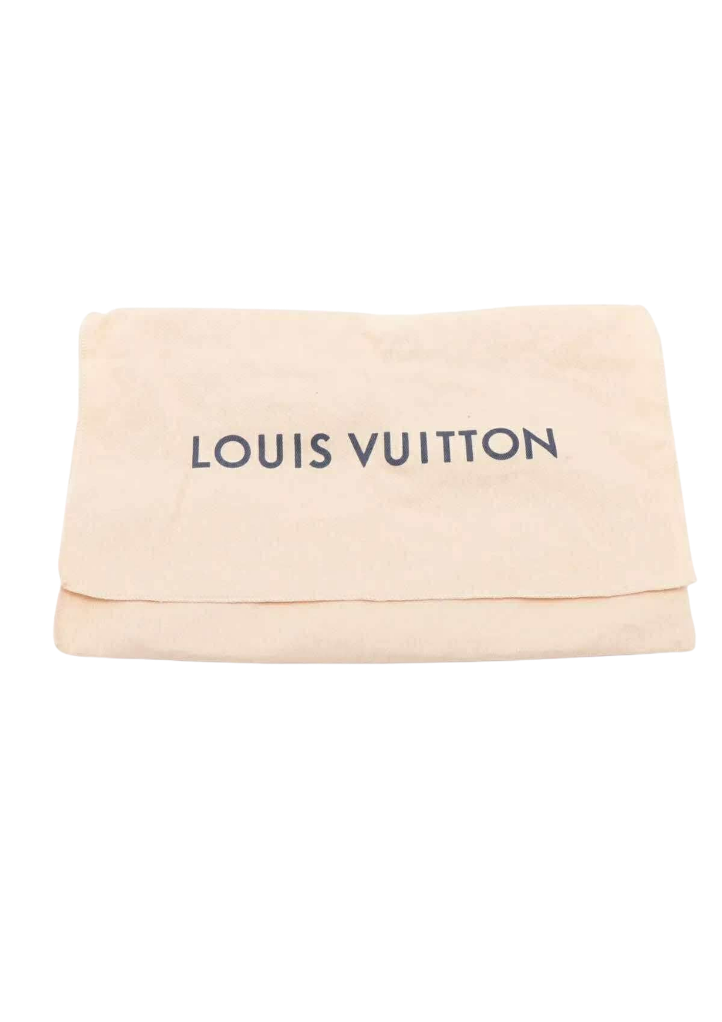 LOUIS VUITTON Damier Graphite Ampoule