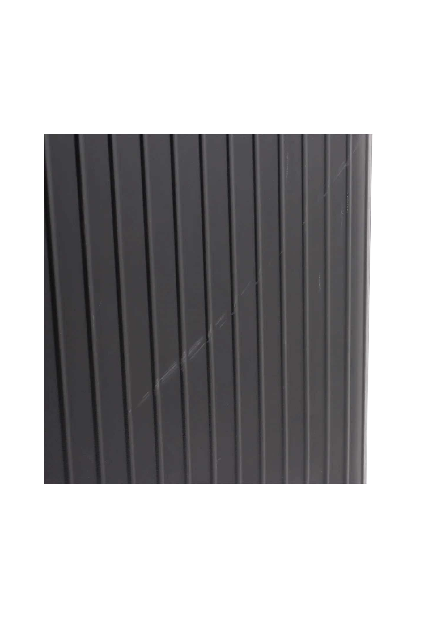 RIMOWA Salsa Polycarbonate Carry Case