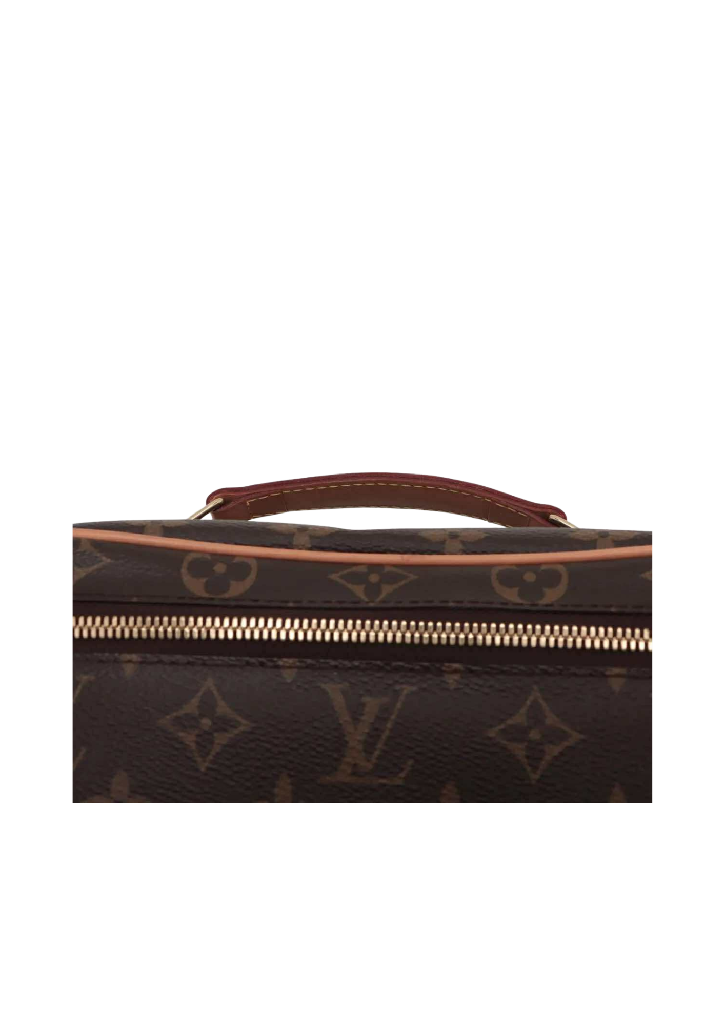 LOUIS VUITTON Monogram Nice